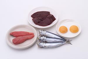 銀座の高級クラブ完全ガイド：特別な夜を演出するための選び方とおすすめ店一覧