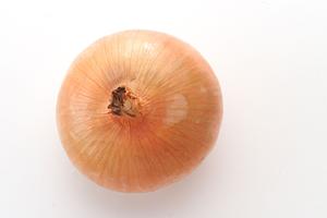 ミナミにホストクラブが増えています