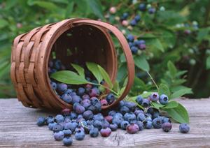 那覇で最高の夜を体験！ホストクラブの魅力と選び方ガイド